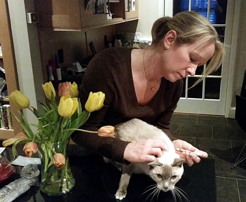 Jenn Meara caring for a client's cat